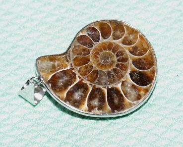 Ammoniten Anhänger mit Öse